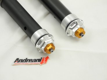 ANDREANI Cartridge für MOTO GUZZI V7 ab 2012 (Kaifa Gabel)